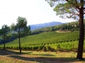 Chianti - Things to see