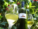 Cantina del Vesuvio (a local winery on Mount Vesuvius)