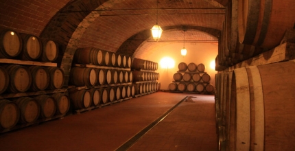 Tuscany wine cellar