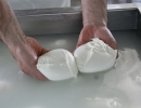 Making Mozzarella