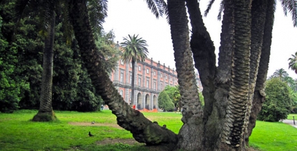 Naples, Capodimonte Museum