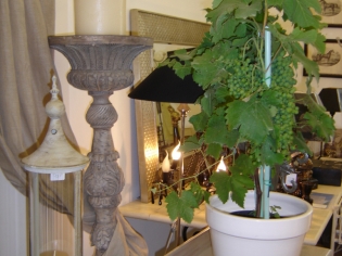 Complementi d'arredo
