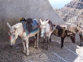 Lindos - Rodi