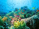 Marsa Alam