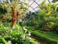Palmengarten - Francoforte