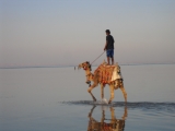 Sharm el sheik