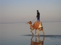 Sharm el sheik