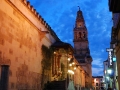 Mezquita - Cordova