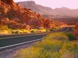 Nevada