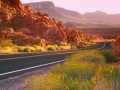 Nevada