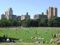 Central Park - New York