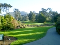 Golden Gate Park - San Francisco