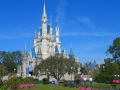 Disney World - Orlando