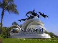 Sea World - Orlando