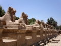 Il complesso templare di Karnak - Luxor