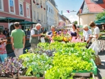 Mercato Benediktiner - Klagenfurt -