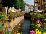 La piccola Venezia - Colmar -