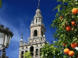 Torre della Giralda - Siviglia -