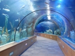 Tunnel sottomarino, Parco Oceanografico - Valencia -