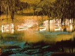 Grotte del drago - Palma de Maiorca -