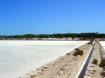 Saline, Ses Illetes - Formentera -