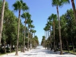 La Rambla - Almeria -