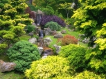 Golden Gate Park - San Francisco -