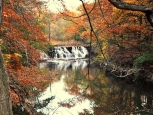 Fiume, Bronx Zoo - New York -