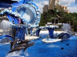 Sea World - Orlando -