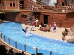 Sea World - Orlando -