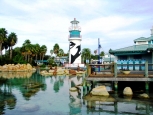 Sea World - Orlando -
