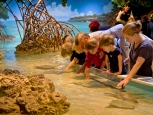 New England Aquarium - Boston -