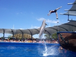 Seaquarium - Miami -