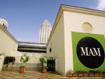 Art Museum - Miami -