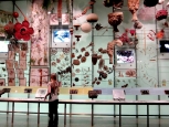 Esposizione, Museum of Natural History - New York -