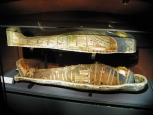 Museo nazionale - Alessandria -