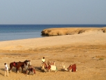 Marsa Alam