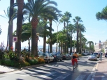 Boulevard de la Croisette - Cannes -