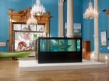 Interno, Museo Oceanografico - Montecarlo -